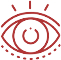 Vision Icon